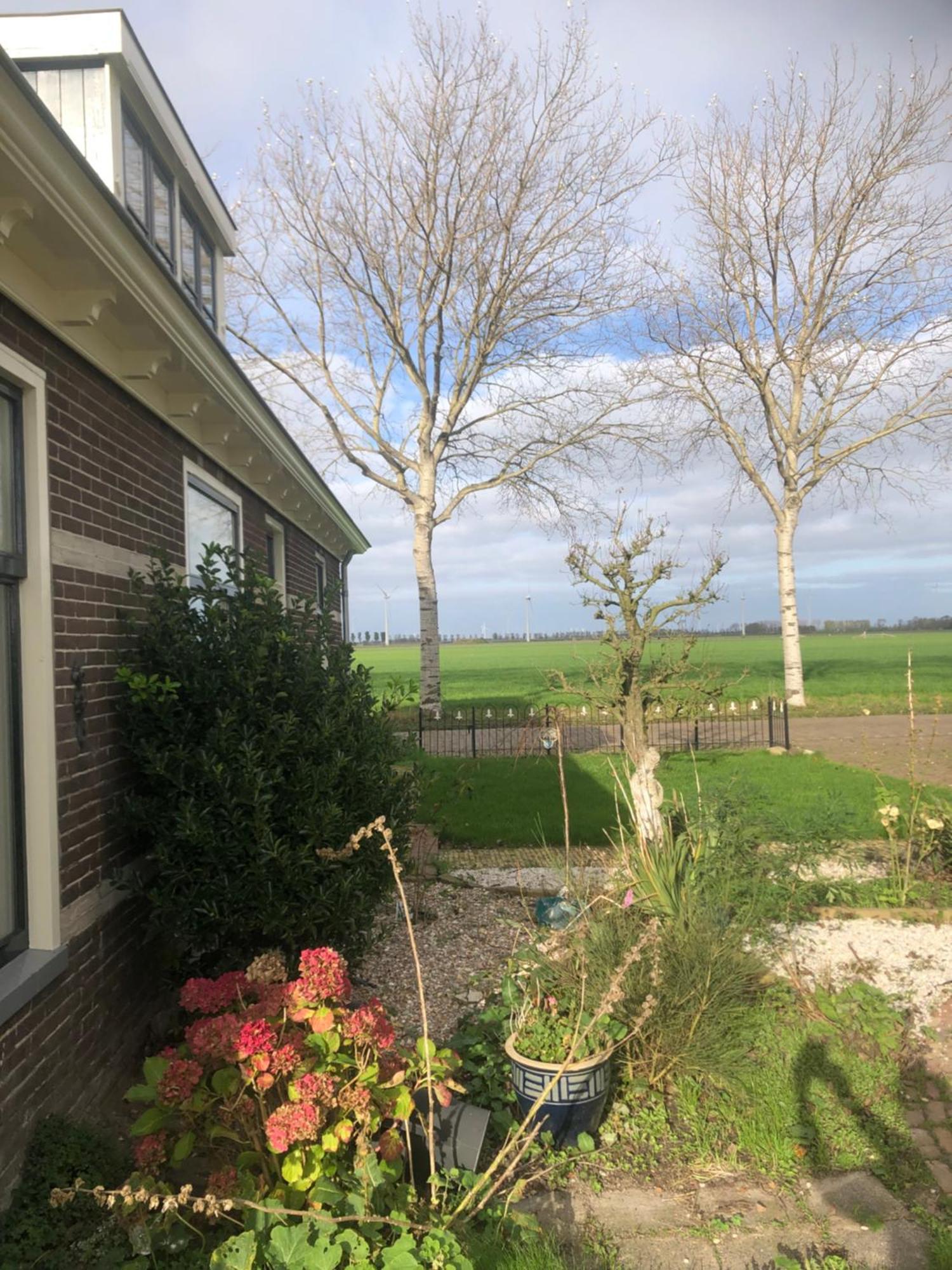 Appartement In Schuur Twisk Bagian luar foto